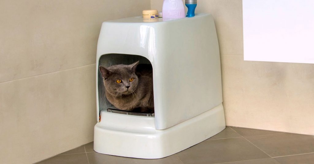 catolet - casa de banho para gatos