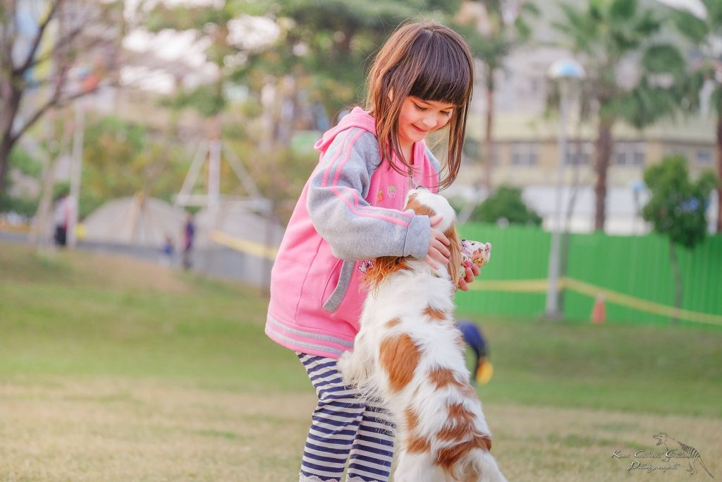5 dicas para se aproximar de um cão em segurança